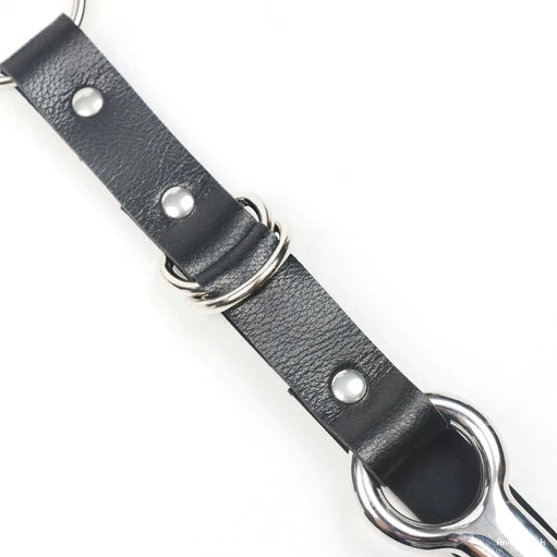Hook Anal EverydayUse Collar 5853 Leash and Kinky with 0718